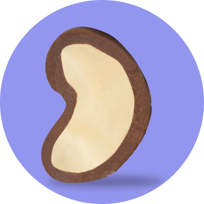 Chocolate Covered