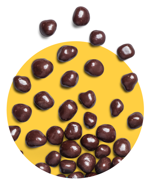 Chocolate-Covered Dried Fruit