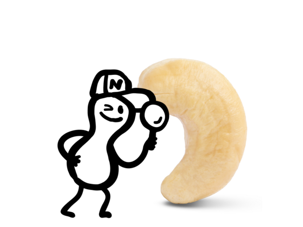 Nut character and a cashew