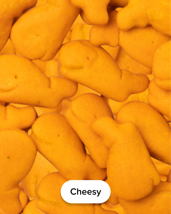 cheesy snacks