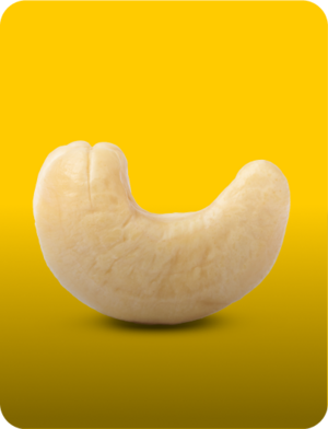 Image of Cashew