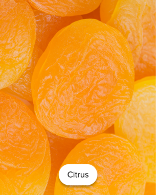 citrus snacks