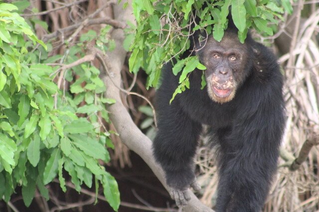 Photo of The Gambia