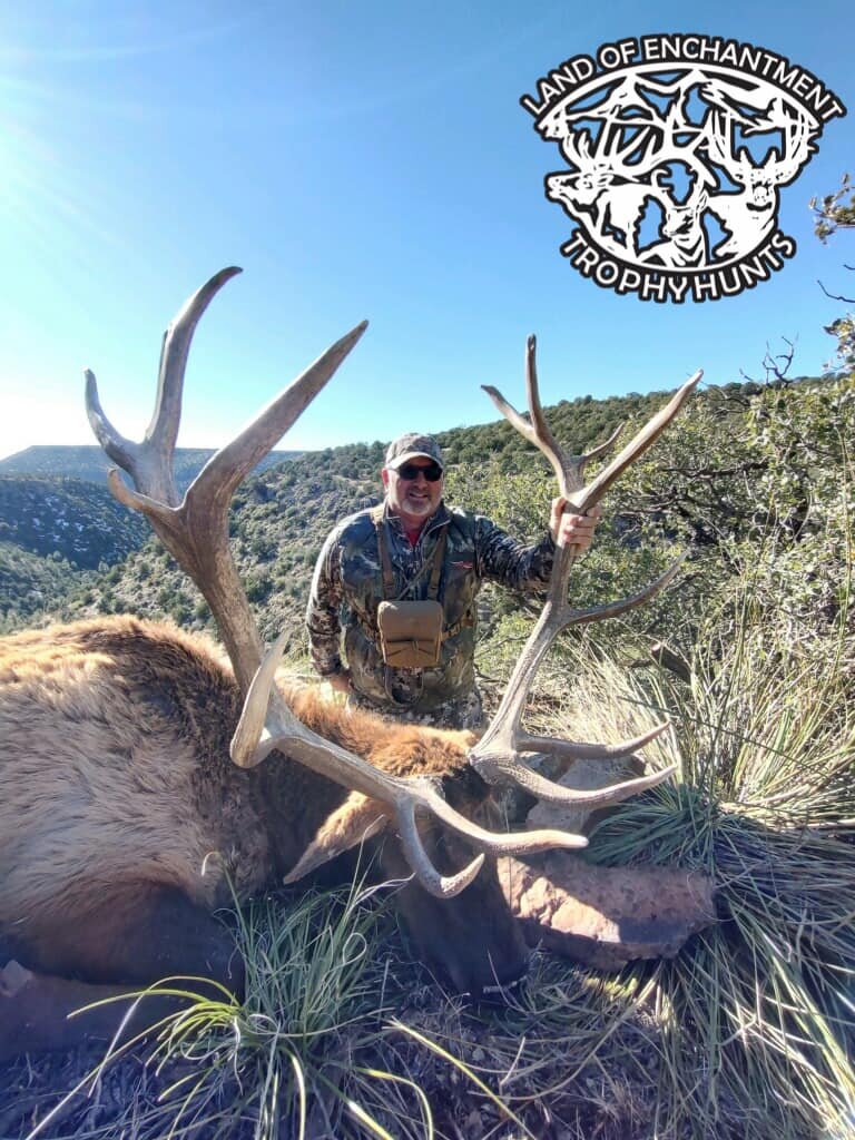 elks by the foot of the hill