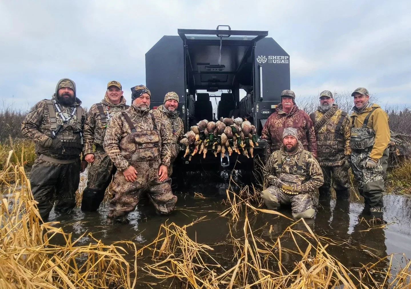 ducks on ground
