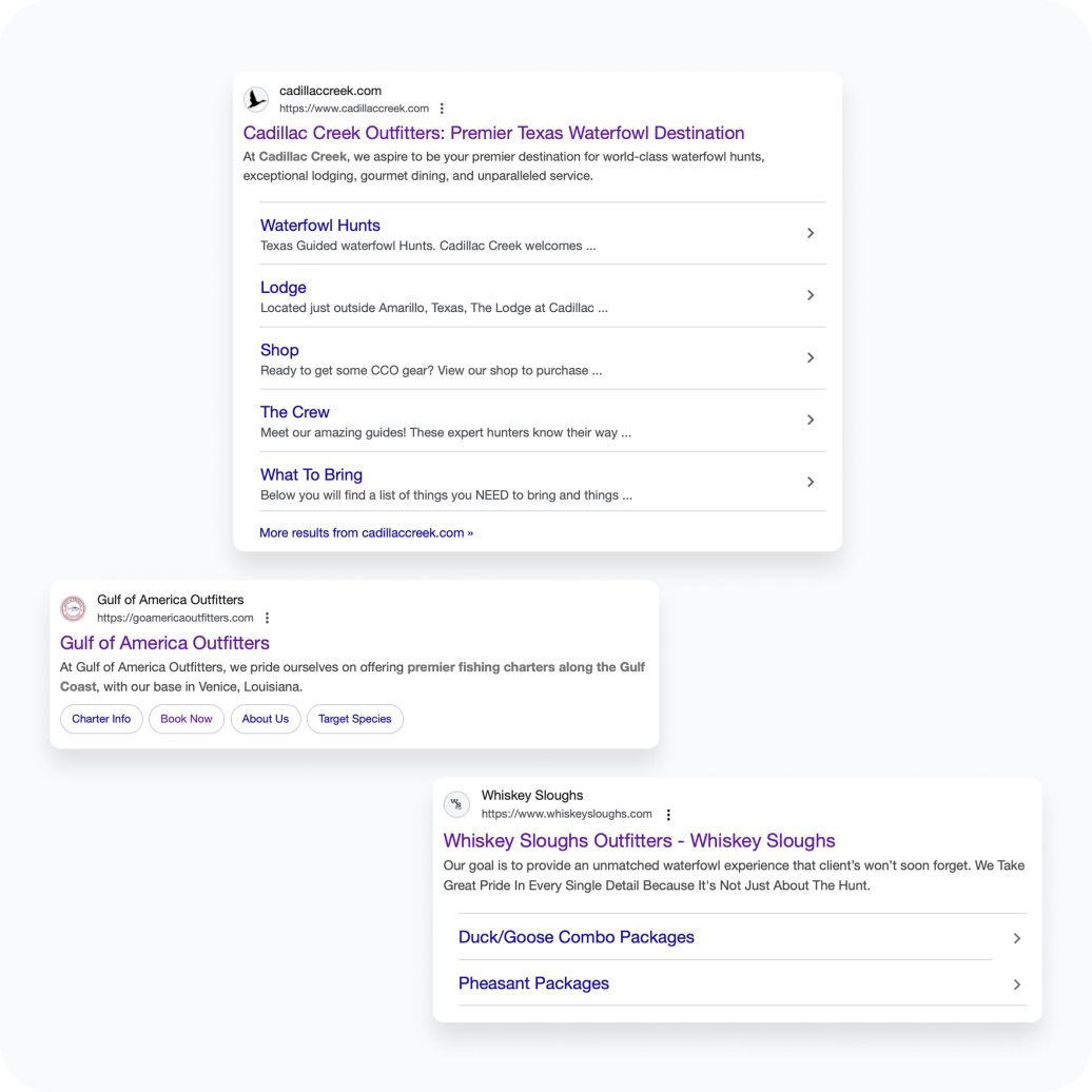 Google Business Profile Setup