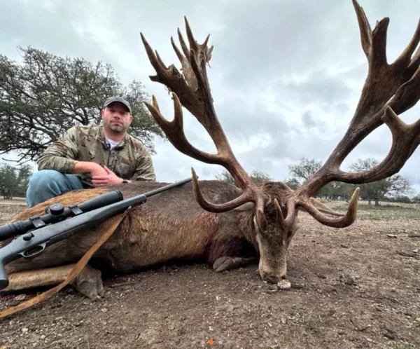 Best Trophy Exotic Hunts