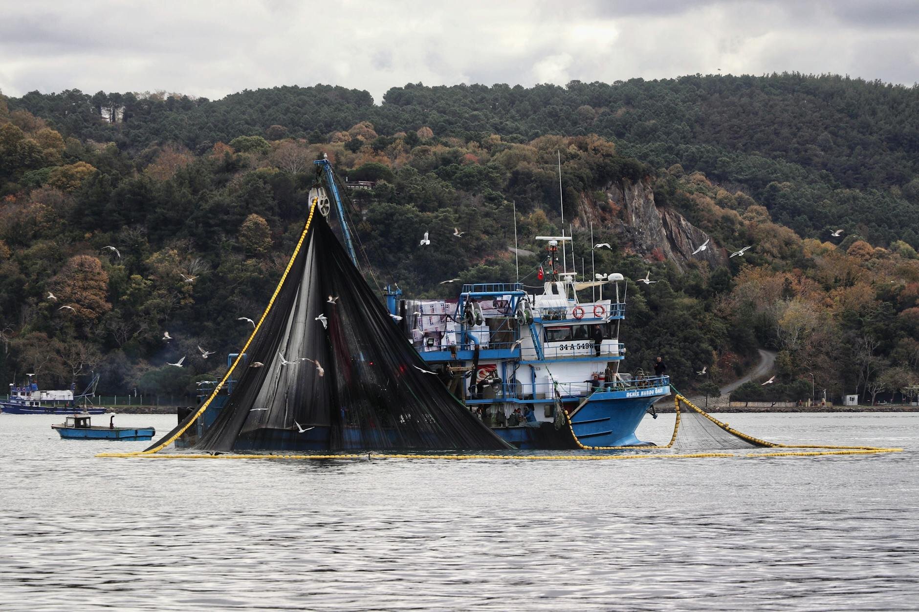 fishing boats surrounded by seagulls