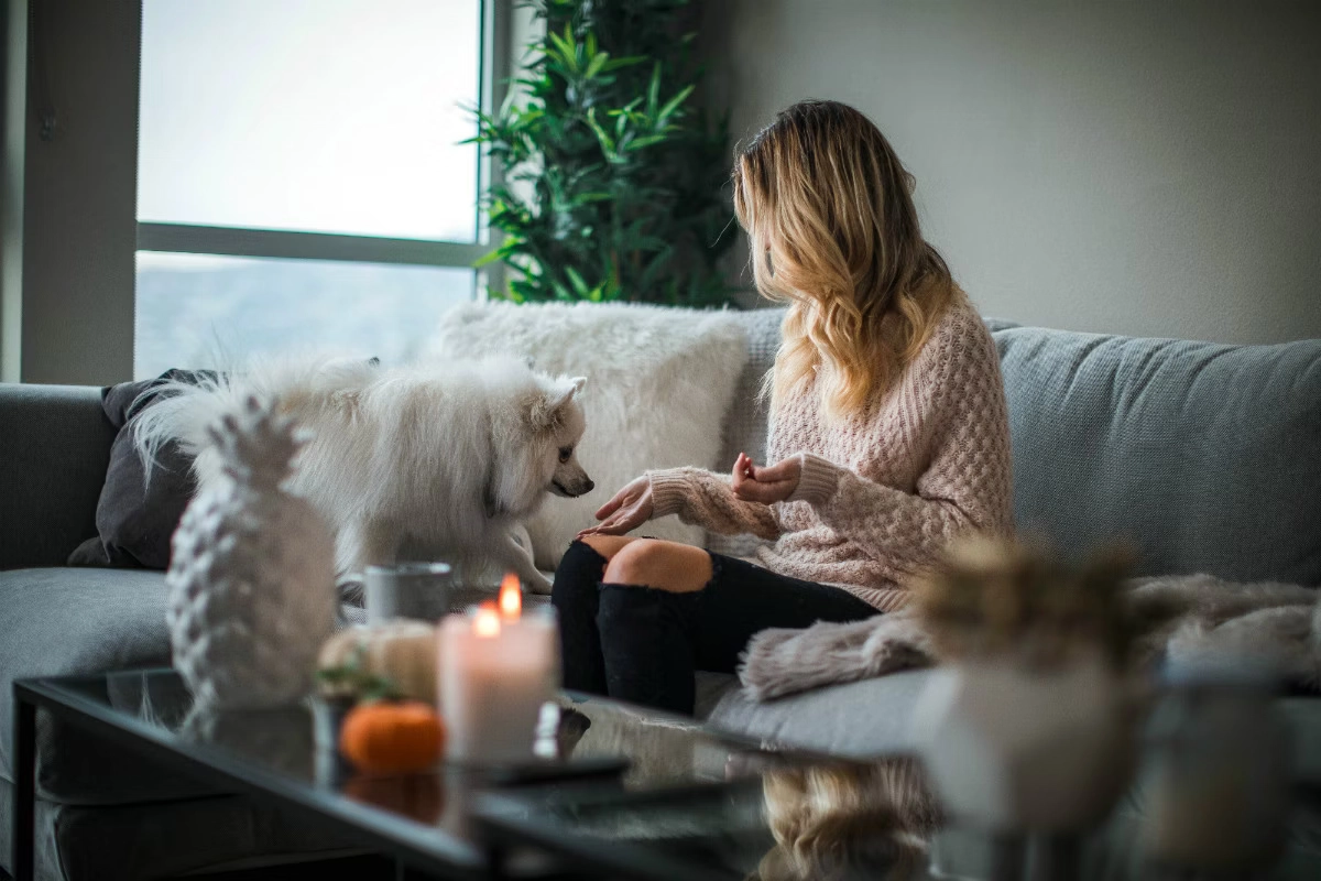 Homeownership Trends: What Contemporary Attitudes Mean for P&C Carriers
