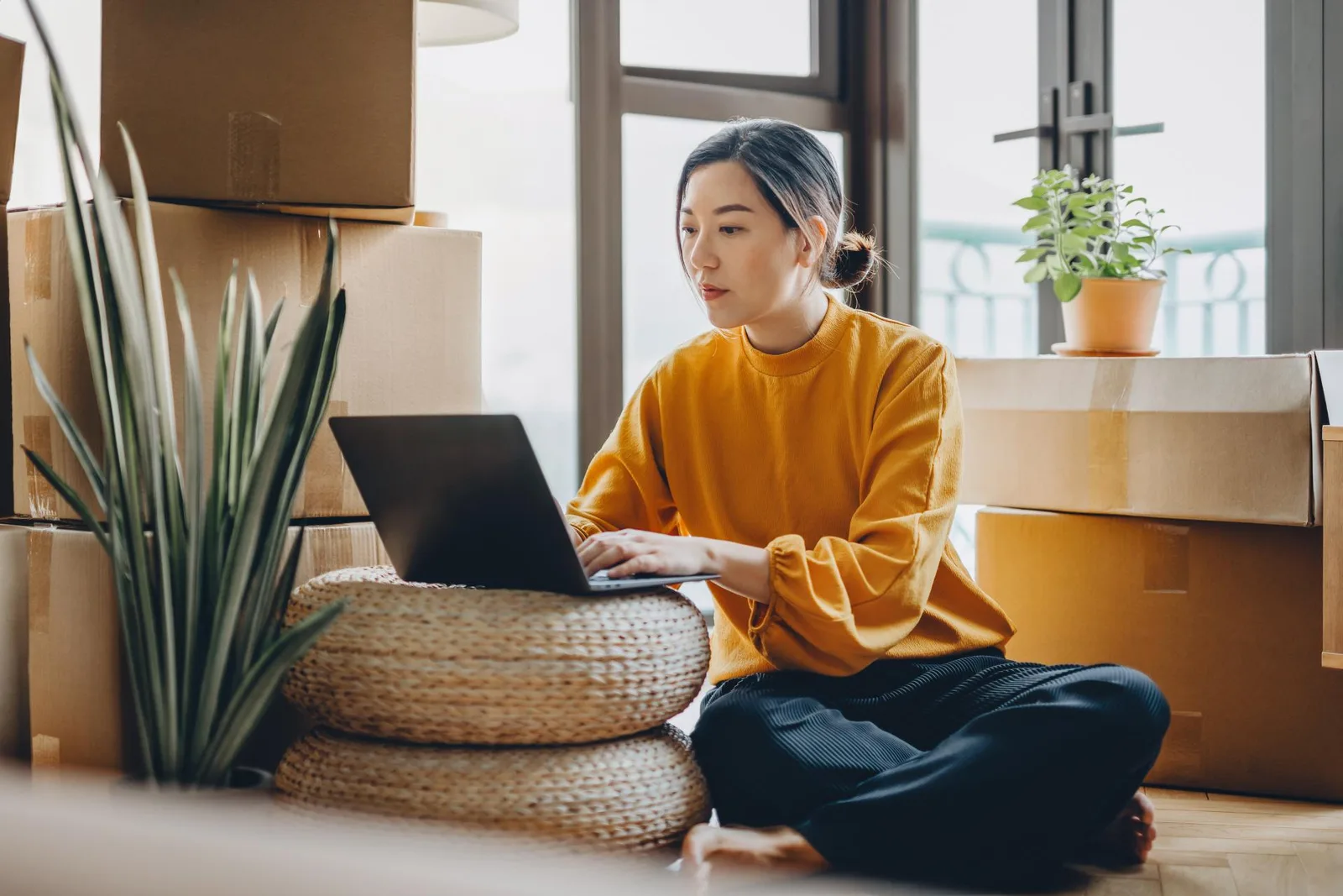 Quote & place 30% more binds with expanded market access