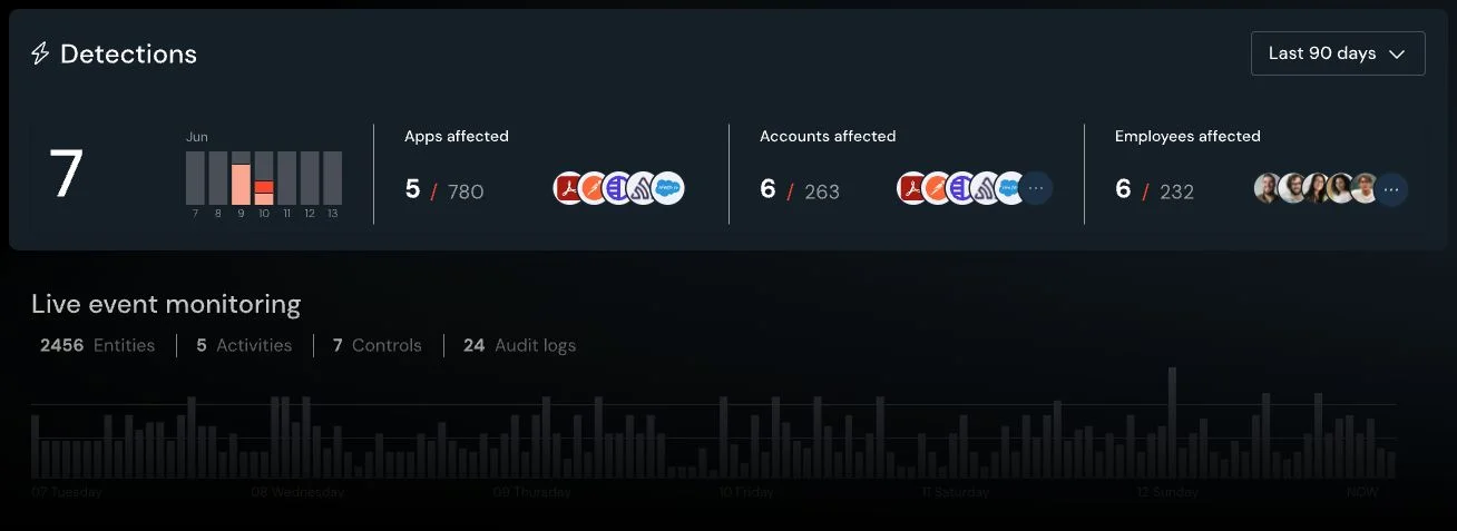 Product screenshot displaying detections
