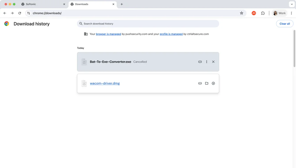 Example of a convincing fake browser update prompt used to deliver malware through a malicious file download, showing how attacks evade detection.