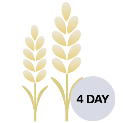 Provence Flower Fields 4-Day Escape