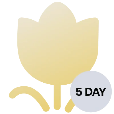 Keukenhof Gardens 5-Day Escape