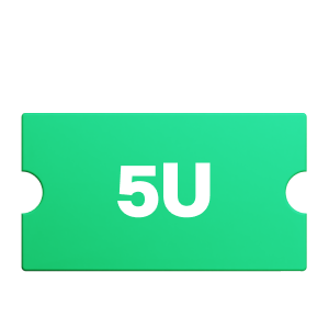 5 USDT Points