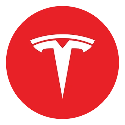 1 TSLA Share