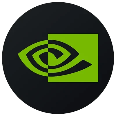 100 Shares of NVDA Stock