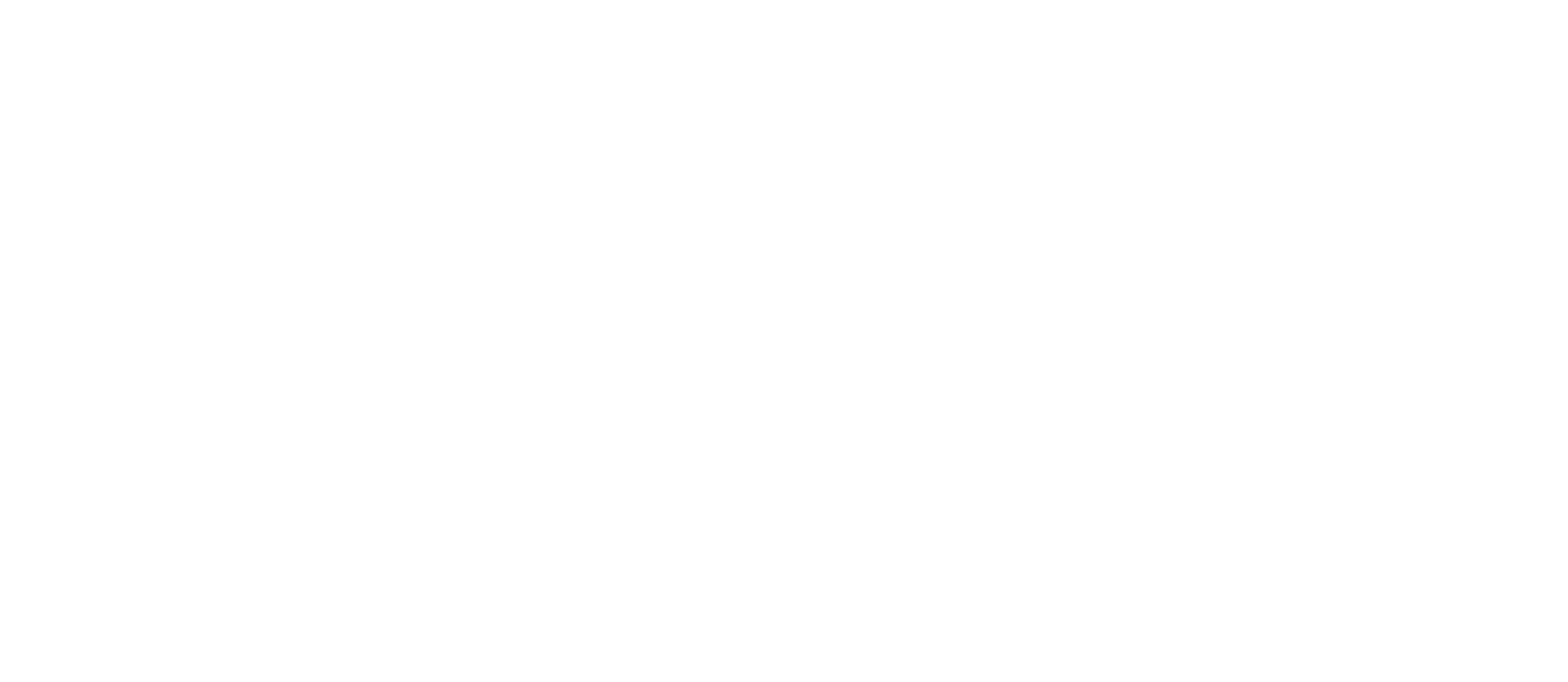 Bikeflip logo, white
