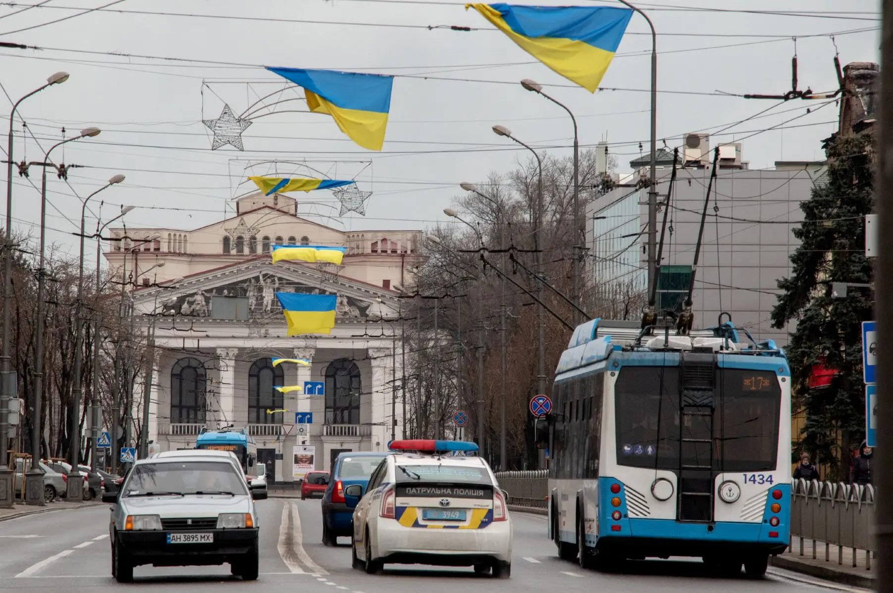 Ukraine Flags