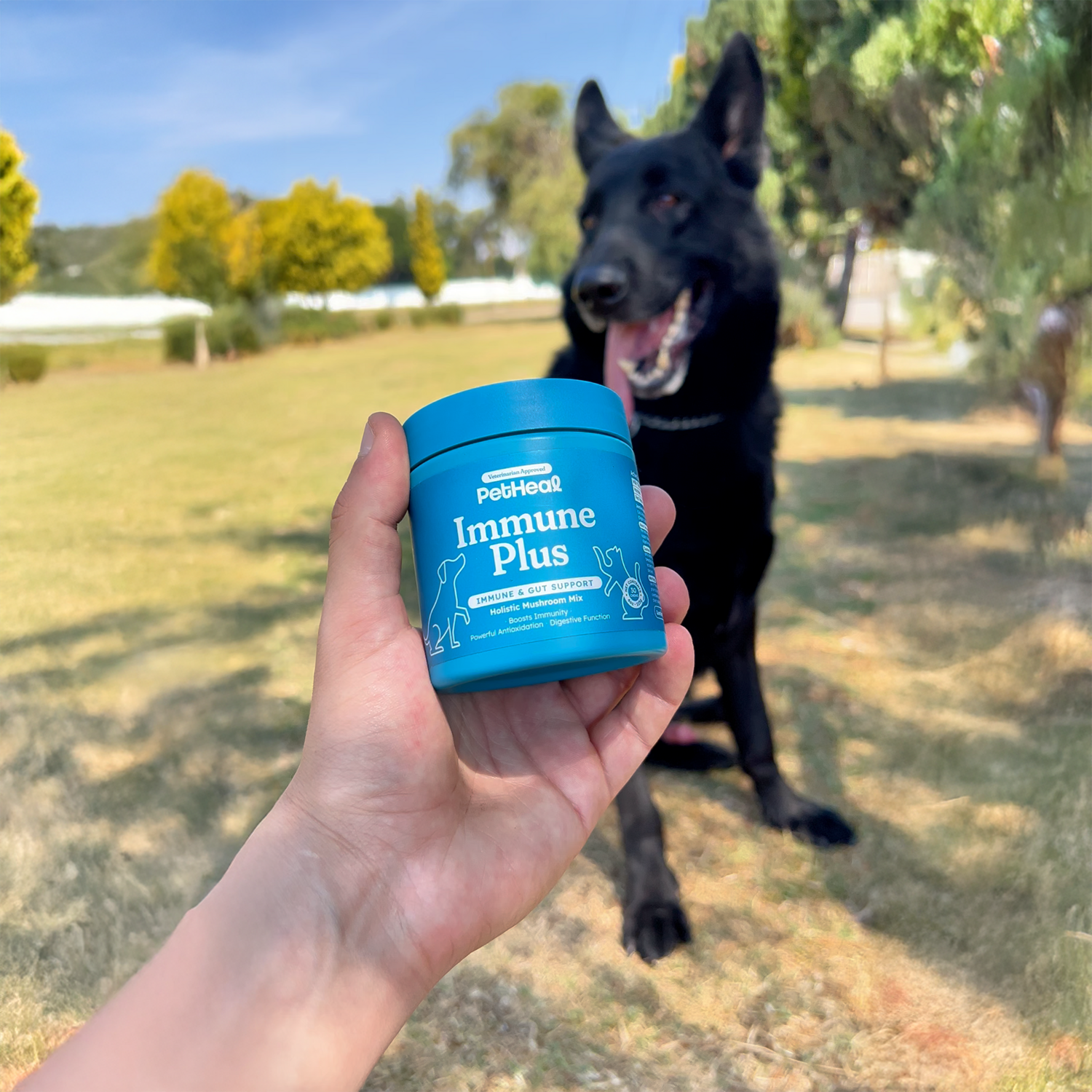 PetHeal Immune Plus Canine Cancer Relief Treats