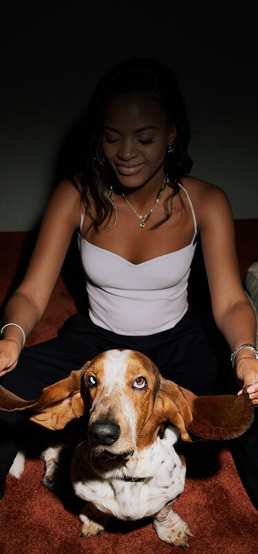 Dog sat between somebody's legs with their long ears held out