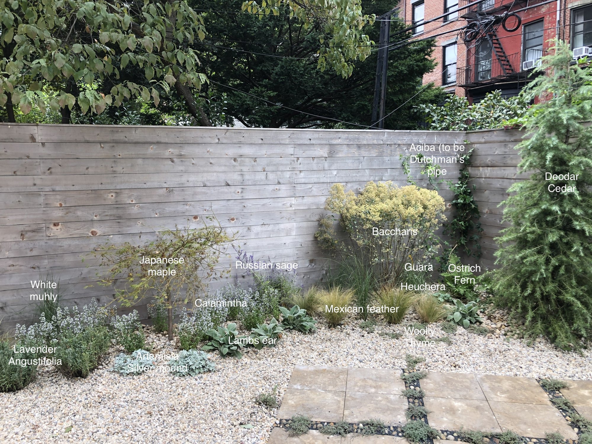 brooklyn garden design_athena calderone