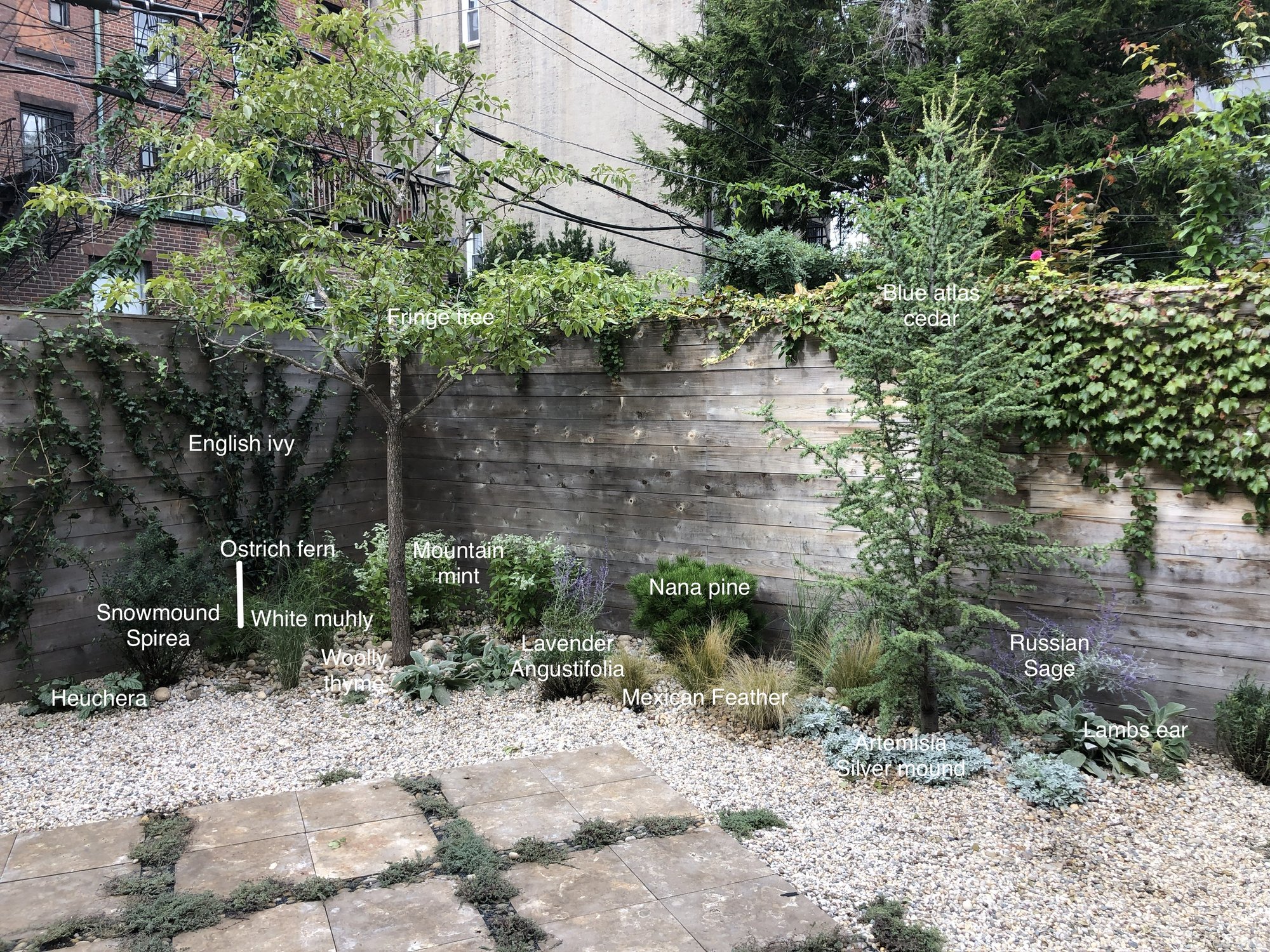 brooklyn garden design_athena calderone