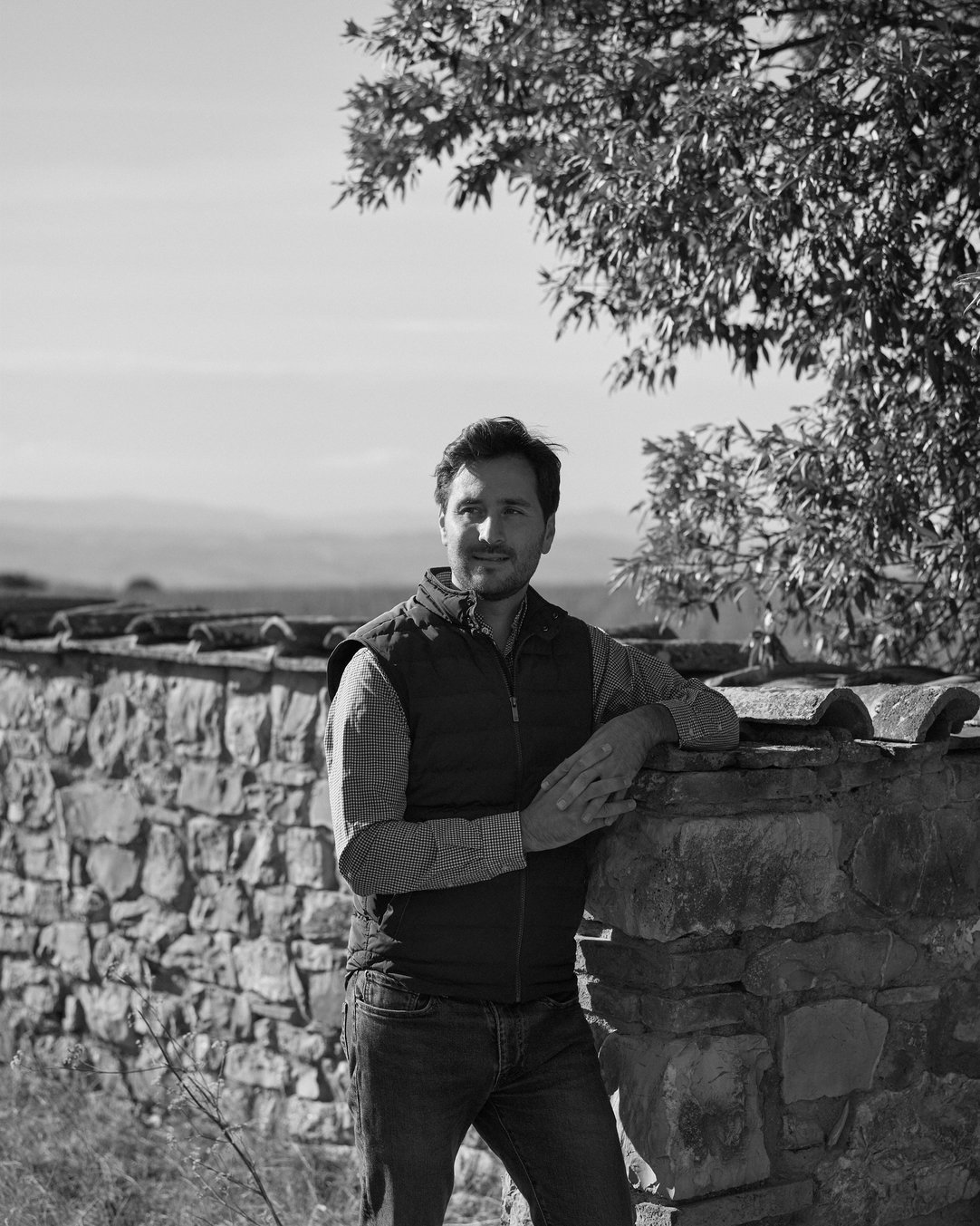 Alessandro Marini clips vines in Tenuta Luce's vineyard
