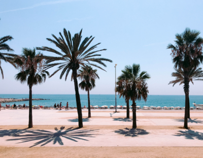 Palm trees blowing in the wind on Barcelona's shoreline