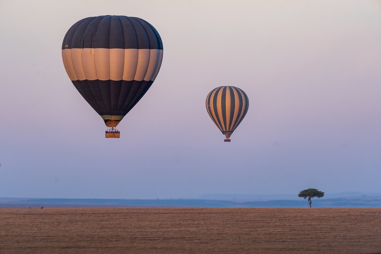 Two hot air balloons in the air above desert landscape during dusk