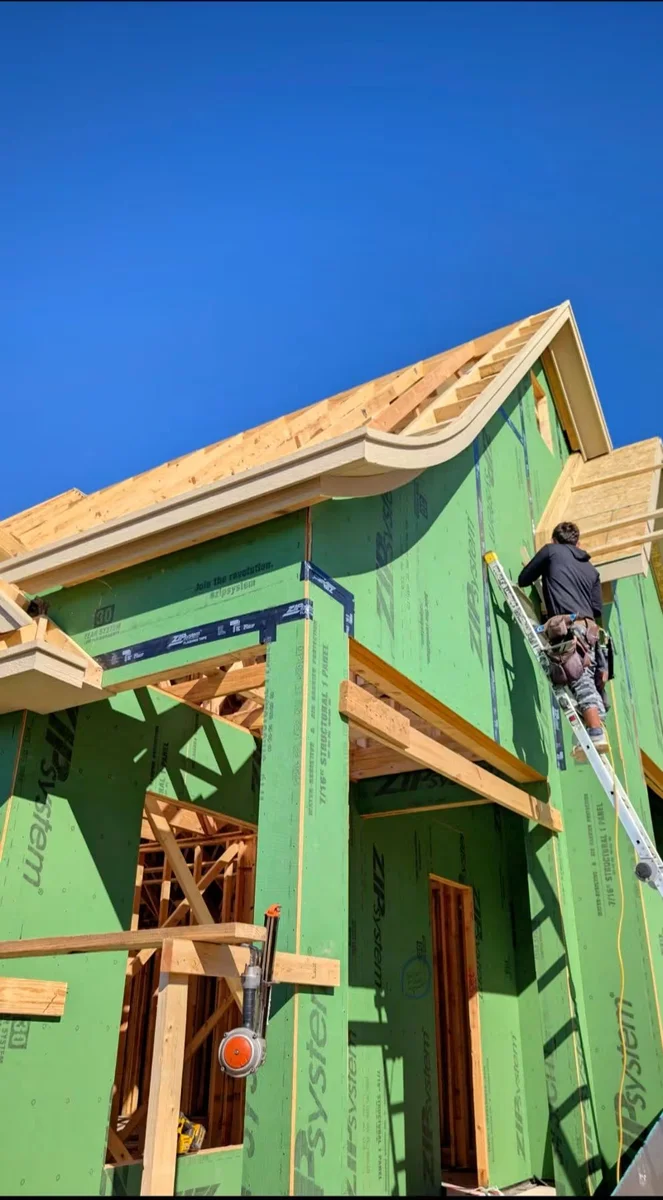 Exterior roofline and sheathing detail