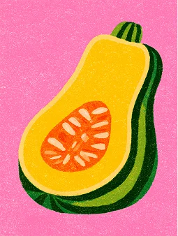 Illustration d'une courge butternut