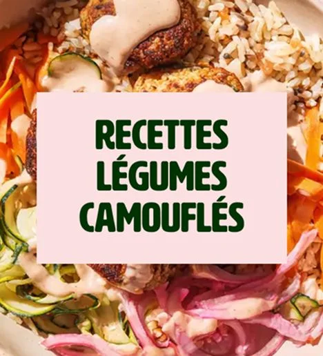 Recettes légumes camouflés