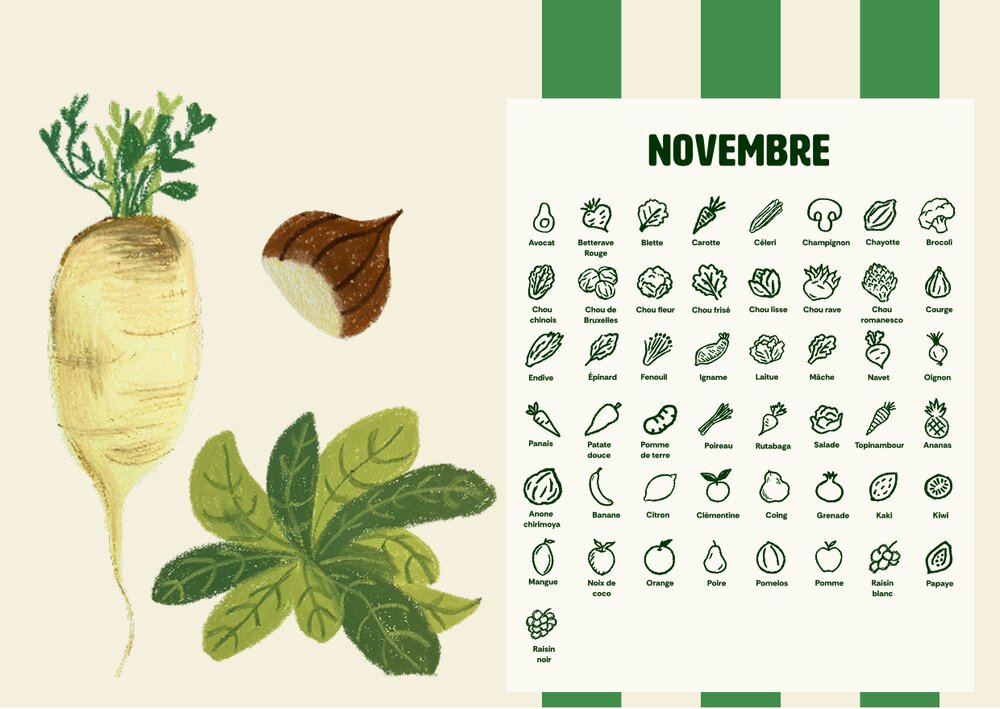 Calendrier illustré des fruits et légumes de novembre
