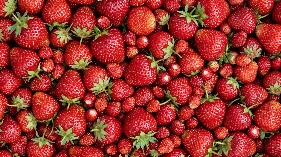 fraises