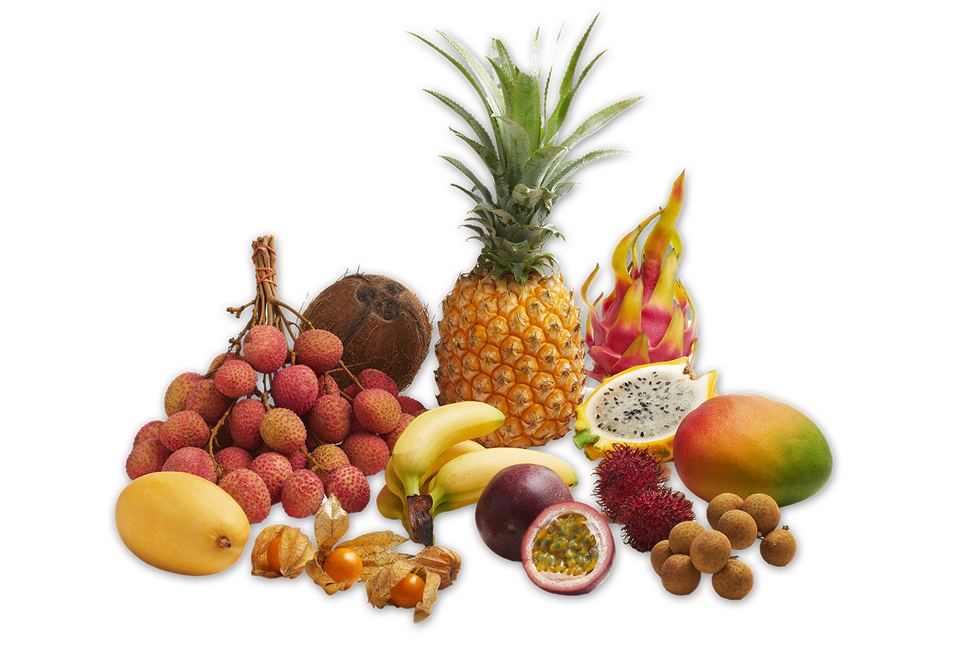 Courses en ligne