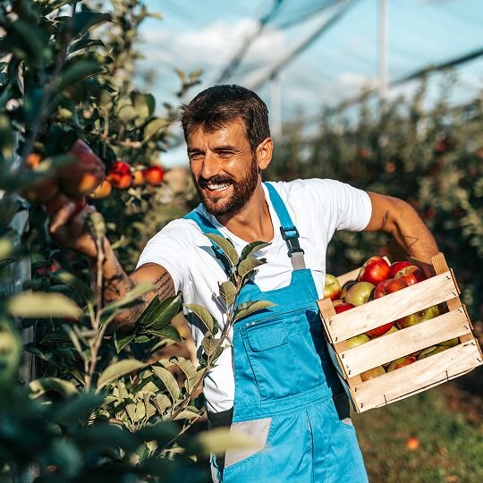 producteurs mon marché