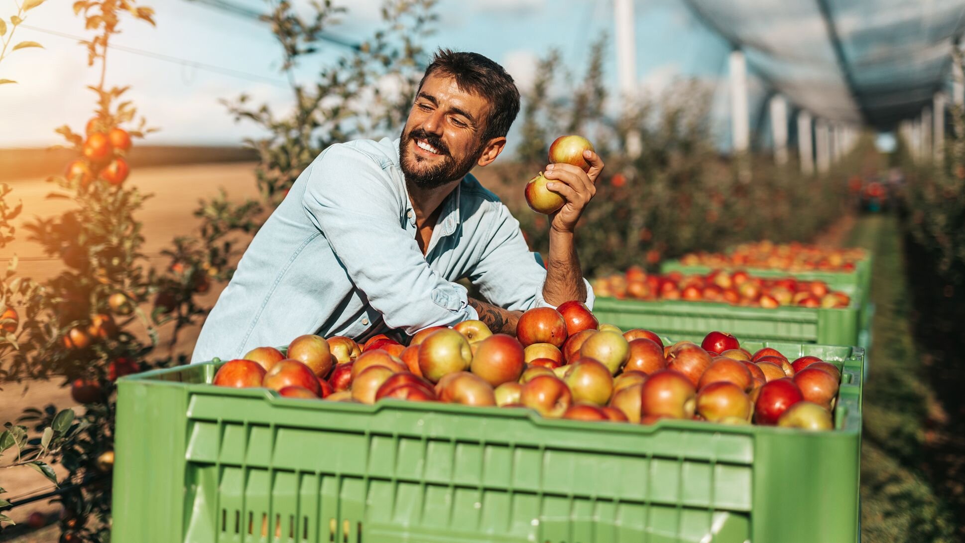 livraison de courses à domicile
