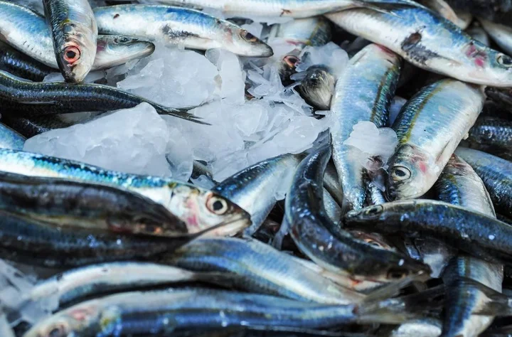 Poissonnerie chez Mon Marché