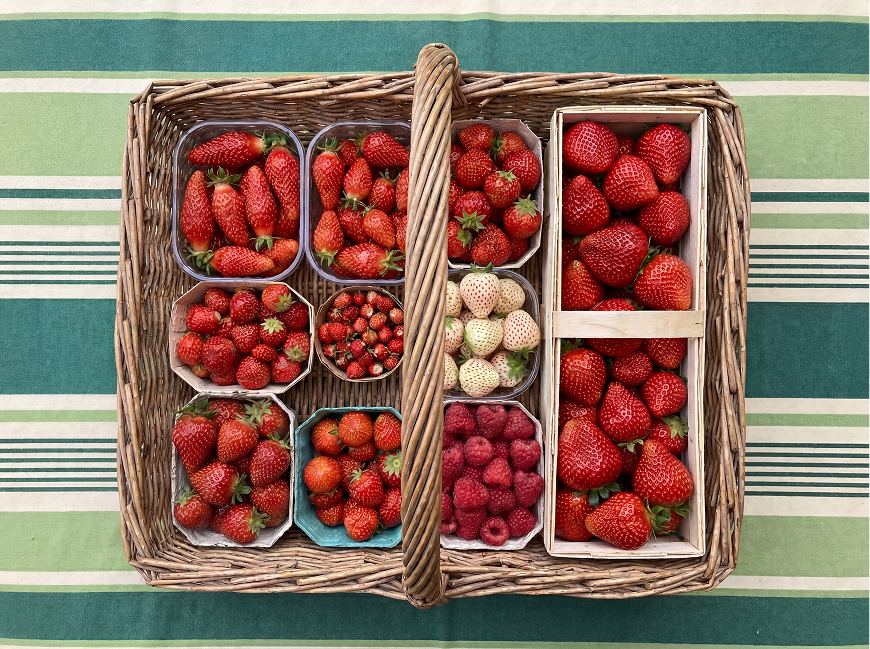toutes les fraises