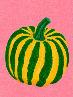 Illustration d'une courge ronde