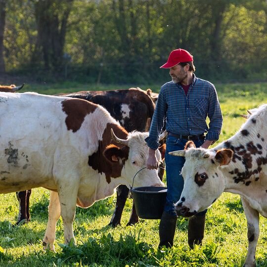 producteurs mon marché