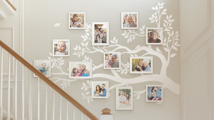 Cherish Every Moment with a Family Tree Wall