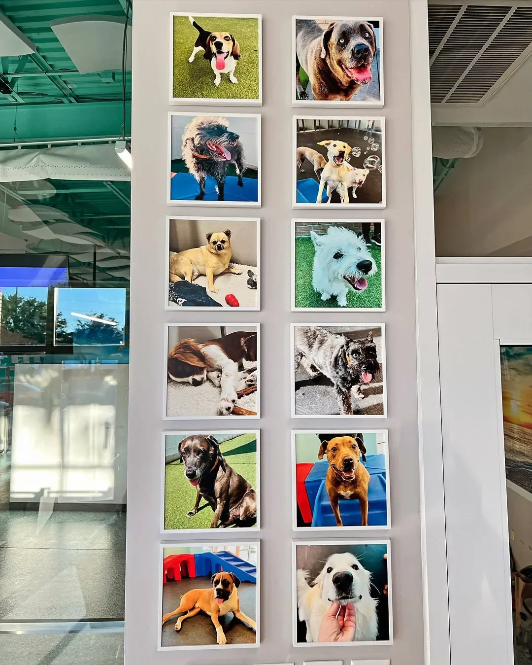 Dog Dad Gift Ideas: Personalized Picks He'll Love