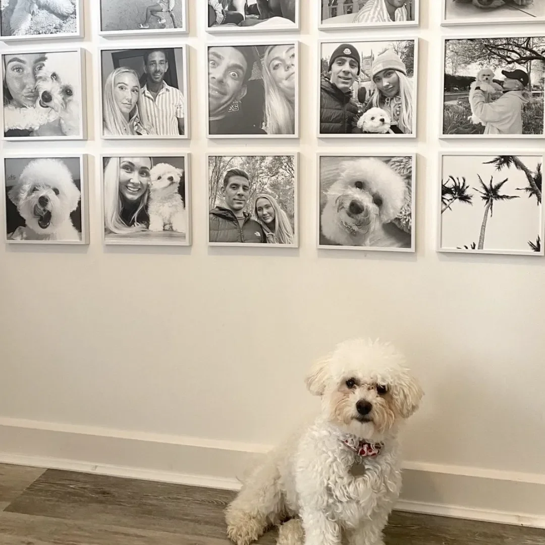 Perfect Gifts for dog moms: Personalize with Love