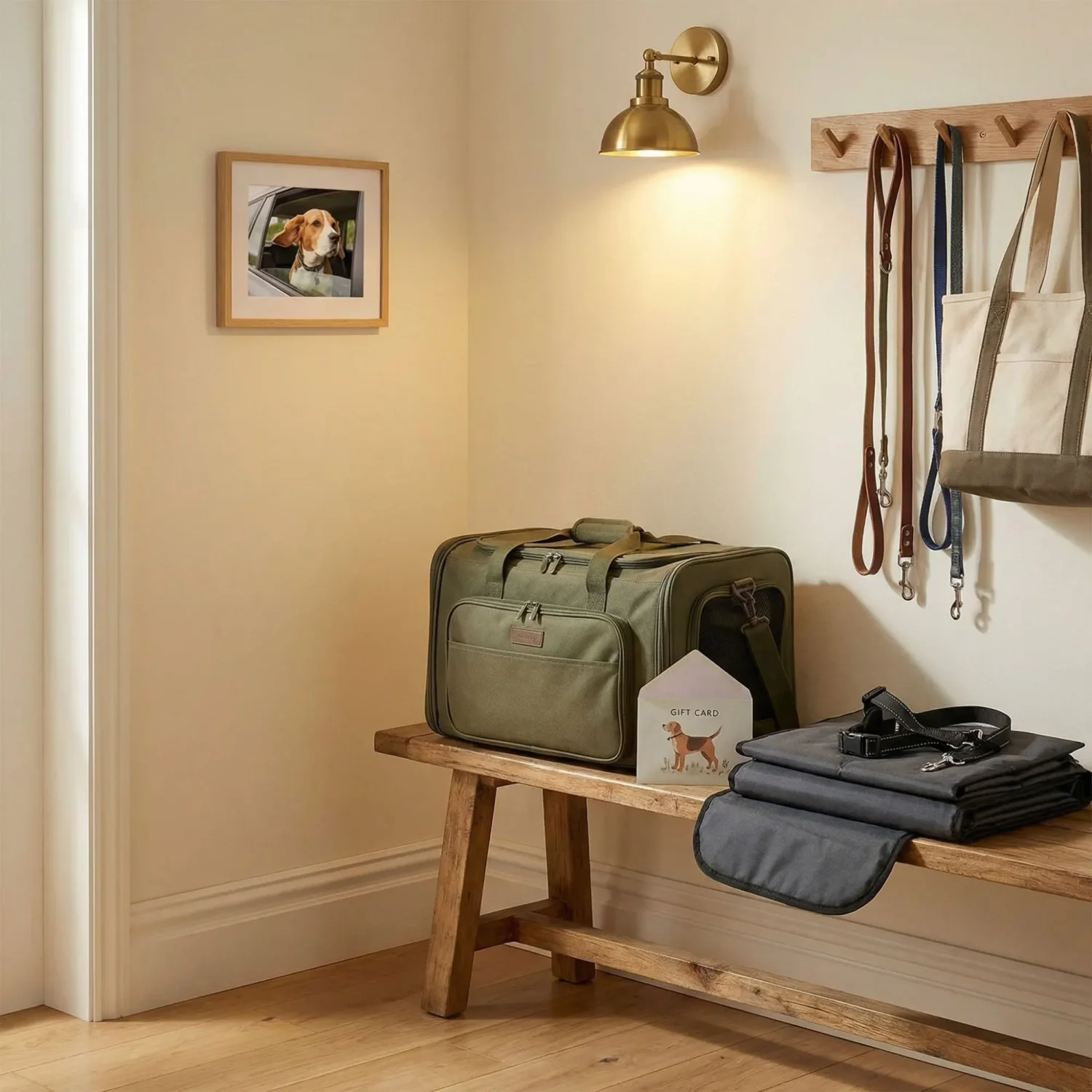 Pet travel carrier and car gear gift set in entryway