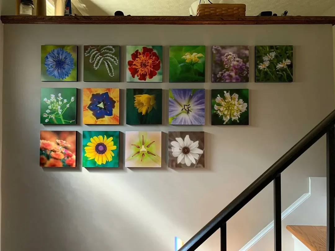 What Is Collage Art? Create Stunning Wall Displays