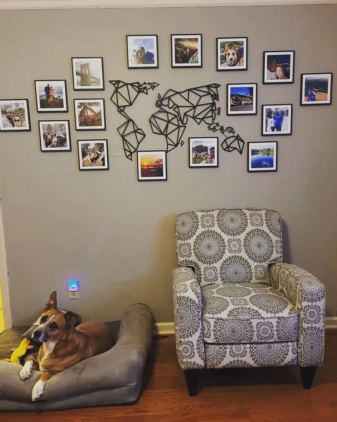 Gift Ideas for Vet Techs: Our Thoughtful Picks