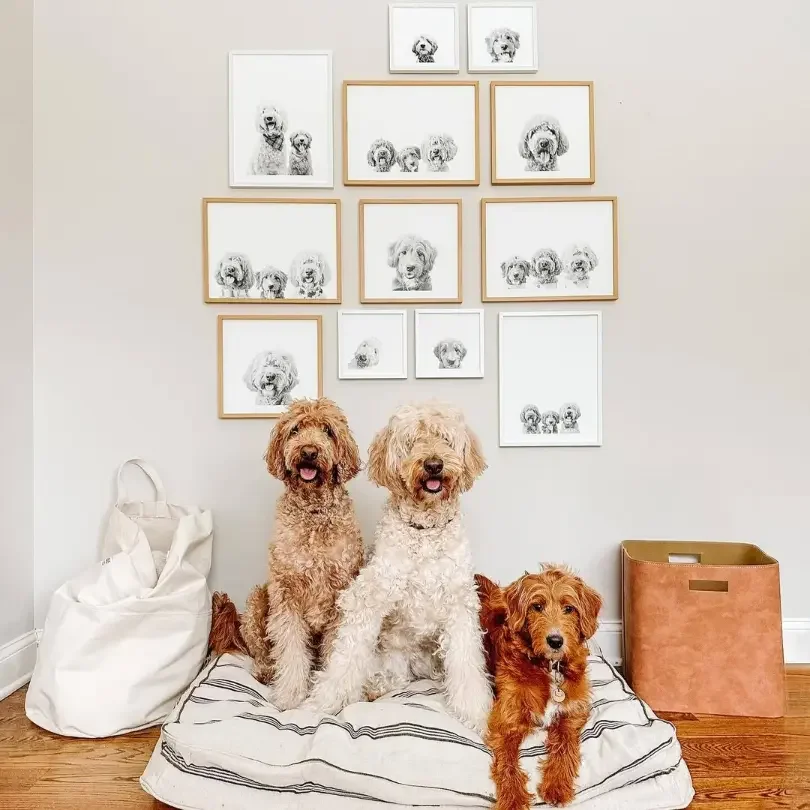Animal Wall Art Ideas: Unleash Your Wild Side