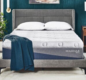 MOLECULE Reflex Hybrid Plush Mattress